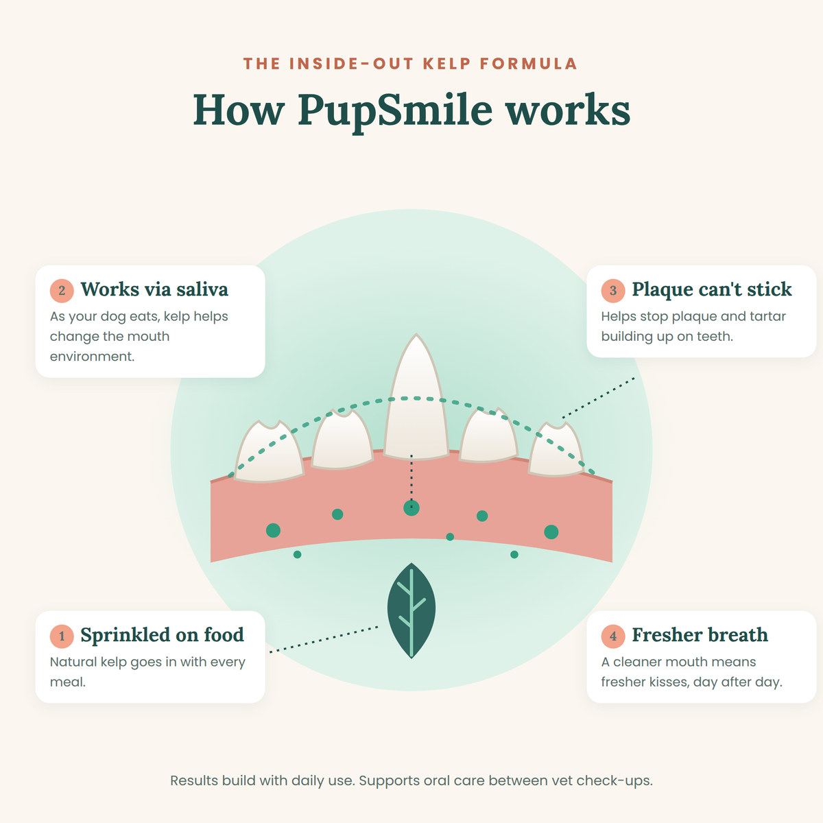 PupSmile™ – The Sprinkle-On Breath Fix for Dogs