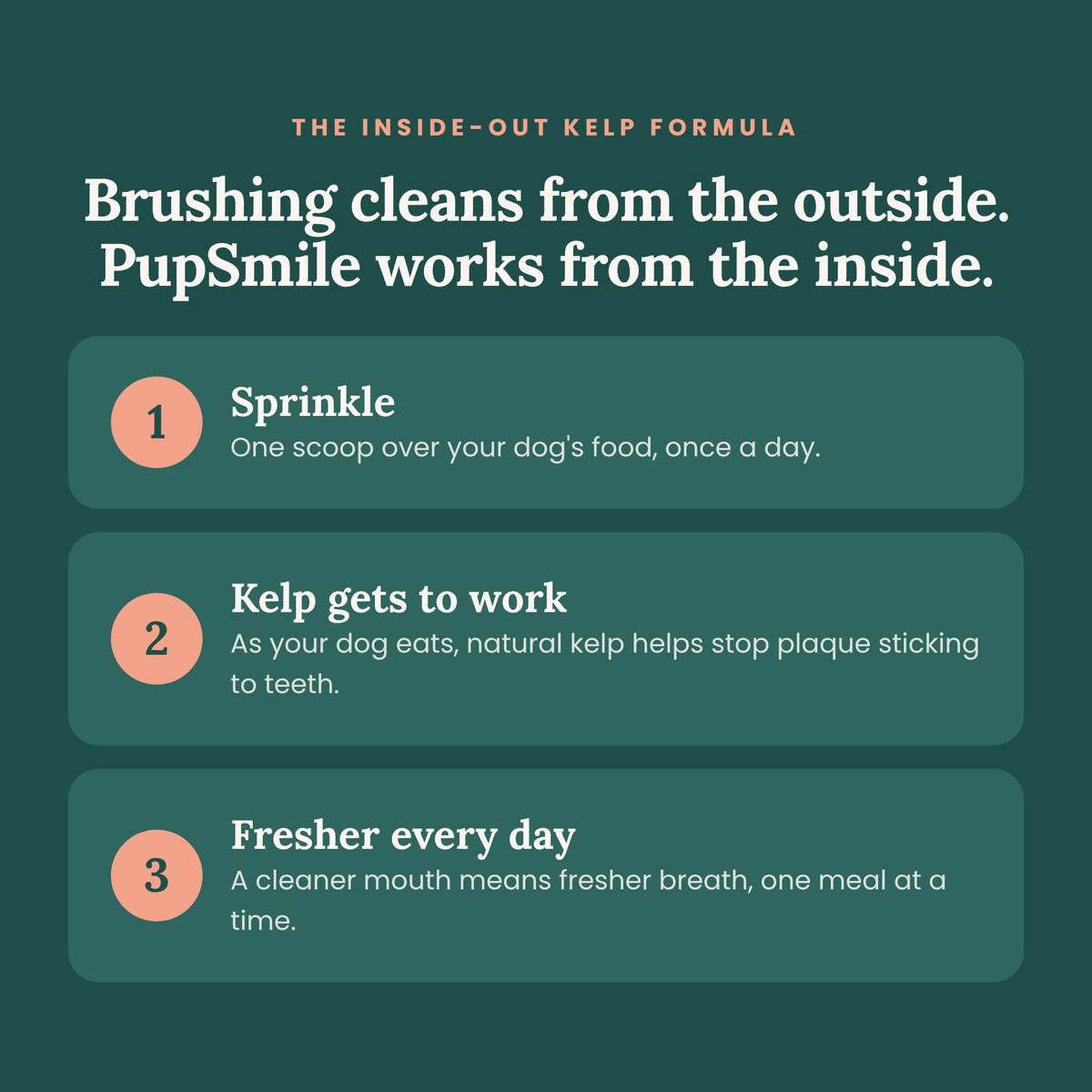 PupSmile™ – The Sprinkle-On Breath Fix for Dogs